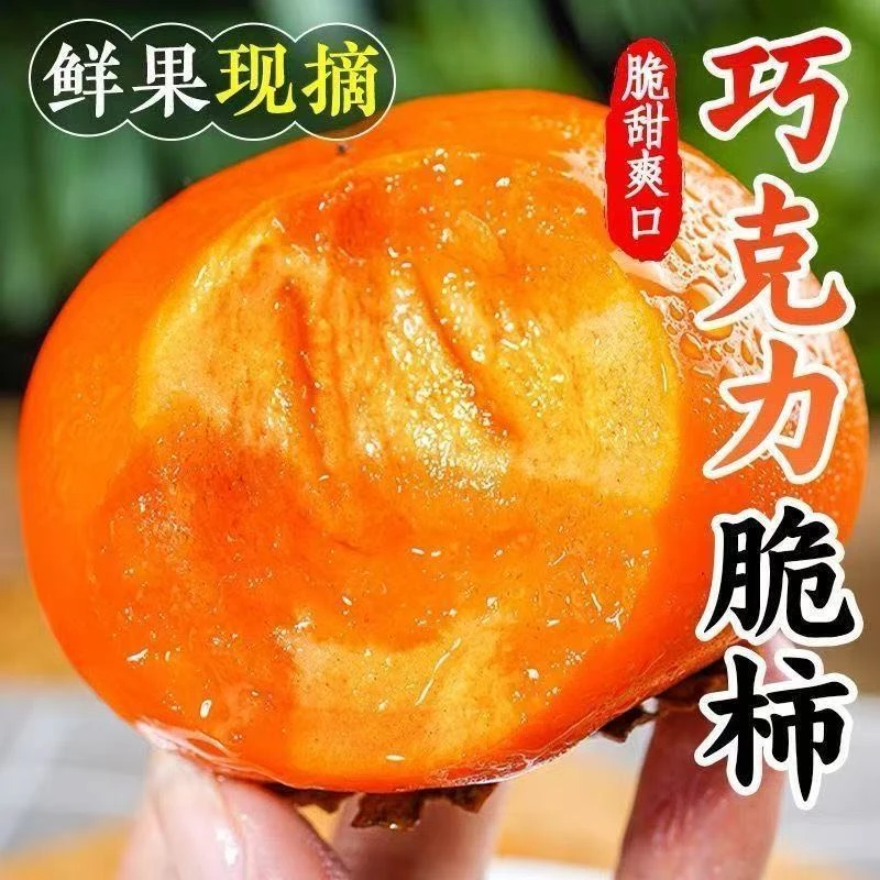老树精品现摘现发山西运城新鲜巧克力脆甜柿子应季水果脆甜多汁