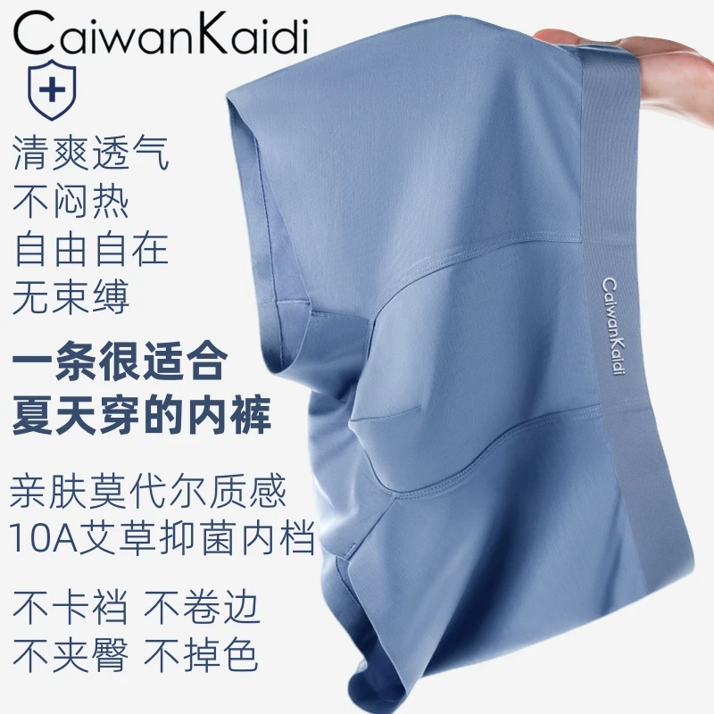 CaiwanKaidi【秋冬款】舒适莫代尔960艾草10A抑菌无痕透气专柜礼盒