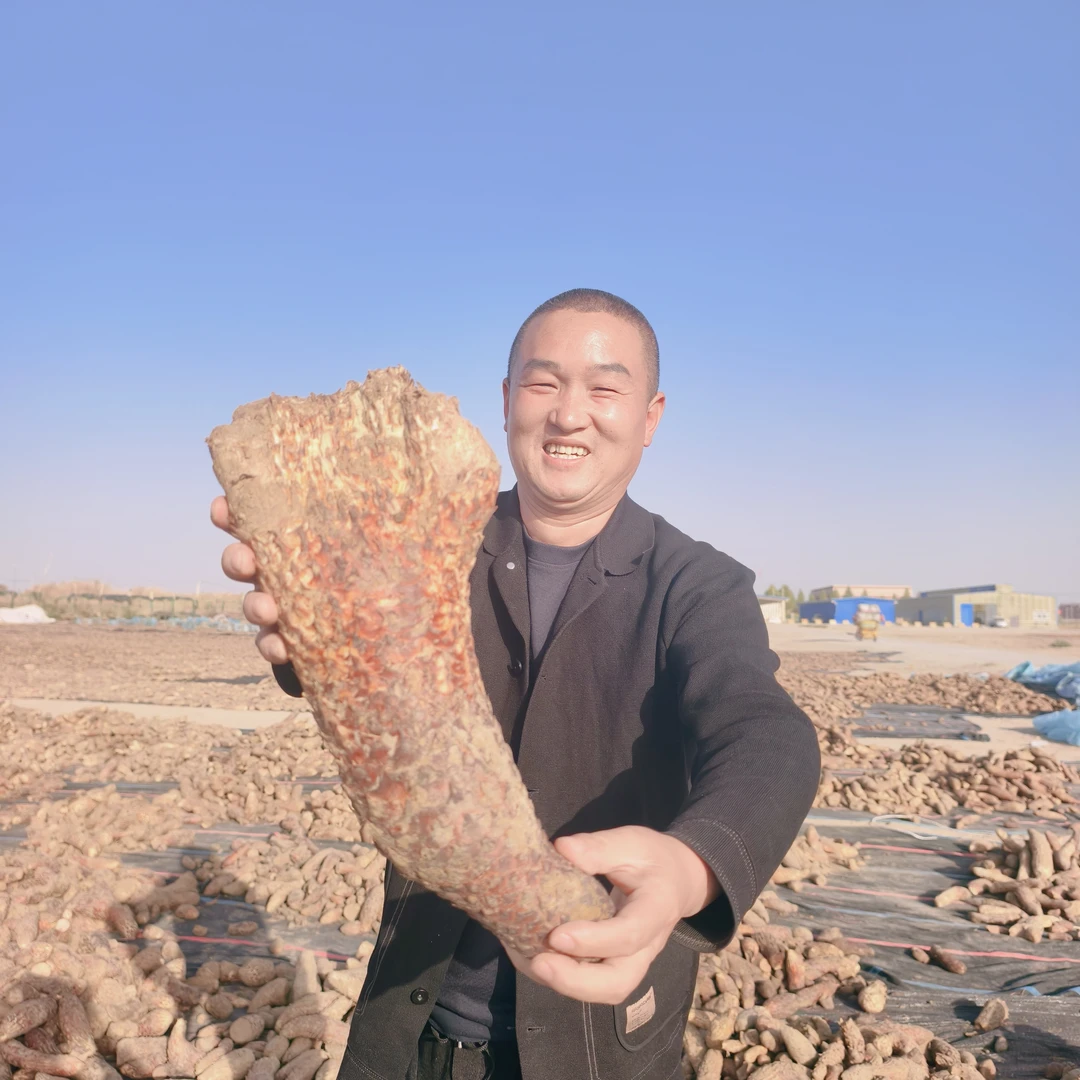 塔克拉玛干沙漠软黄金