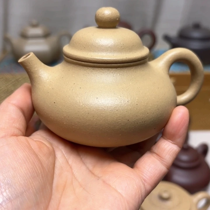 紫砂茶壶大水潭本山绿泥微微瑕