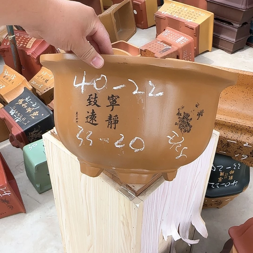 紫砂花盆这是我第一