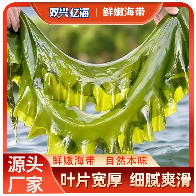 【主播专属】盐渍海带一棵菜干净无沙整颗菜包饭海带