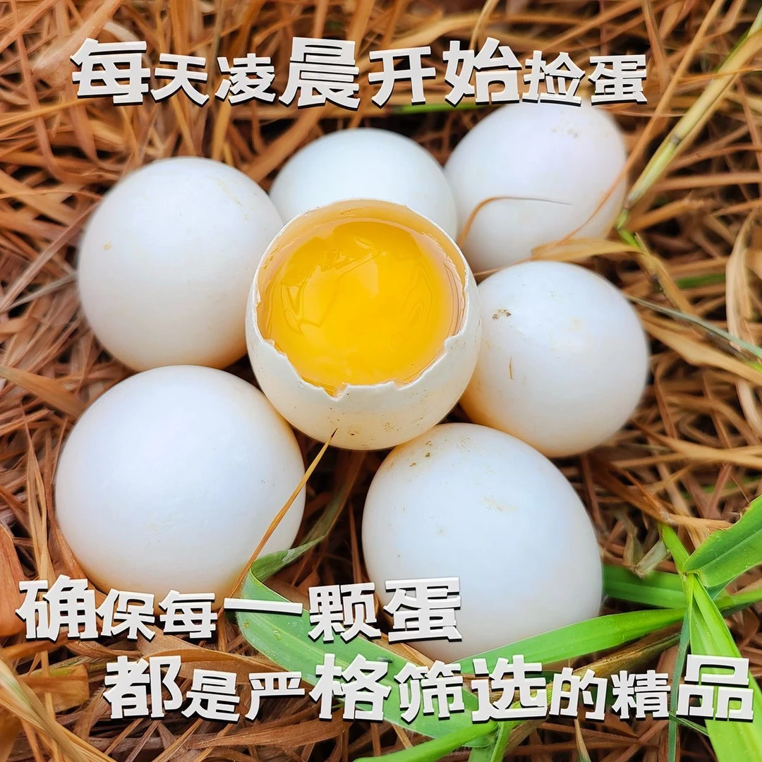 农家散养土鸭蛋批发新鲜现捡农户土鸭蛋湖养