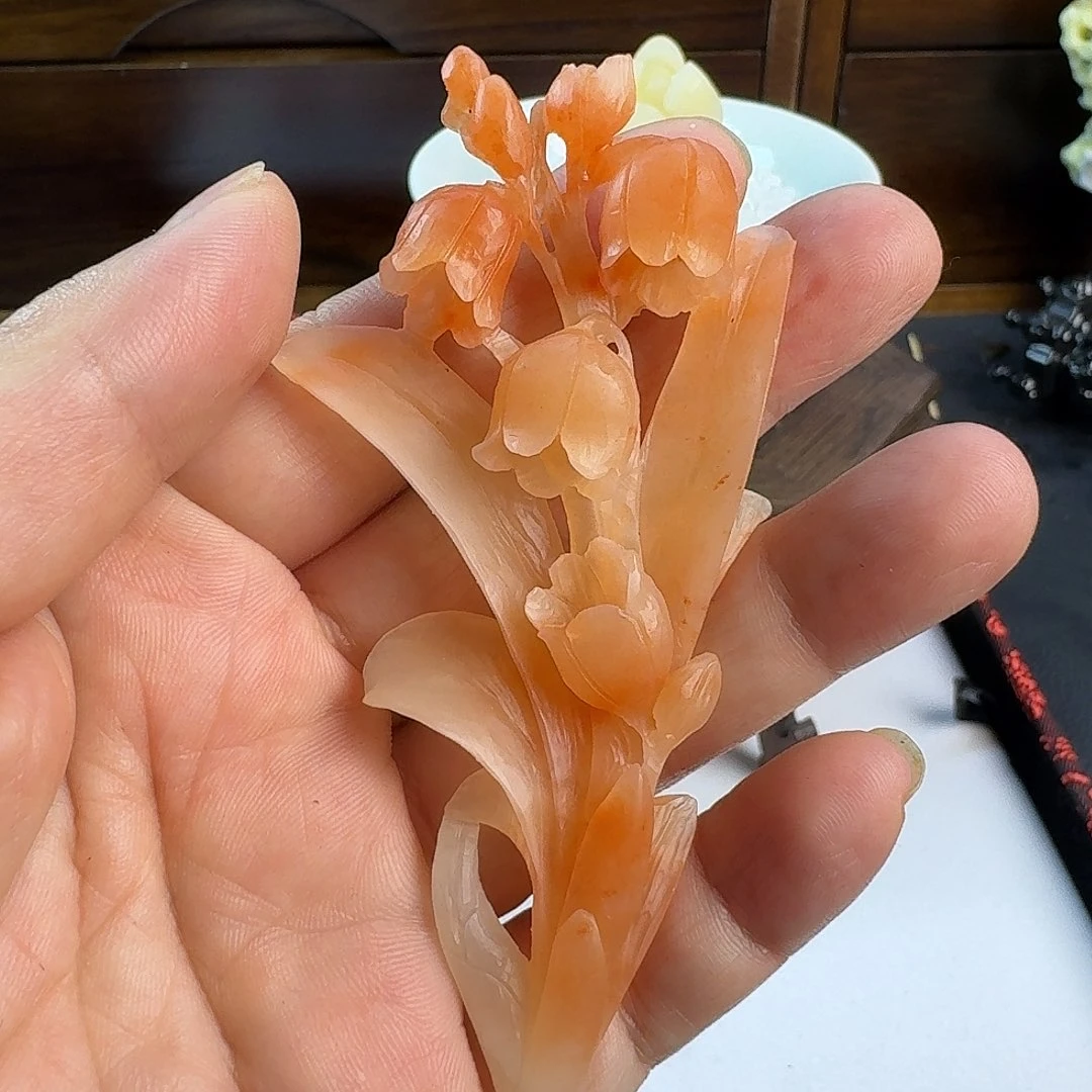 老挝石老挝石铃兰