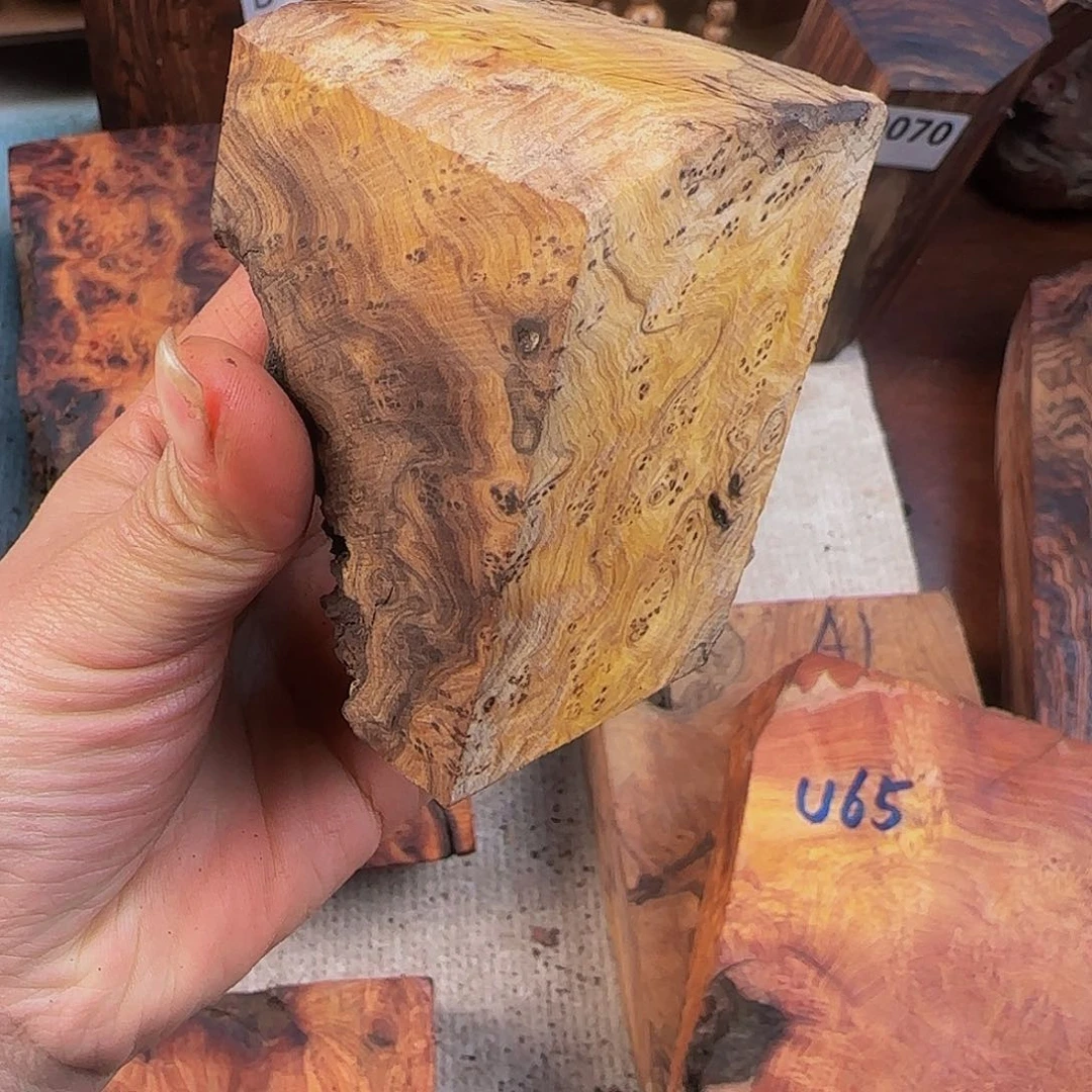 木⭐️*鬼柳尖叶木栖榄料子