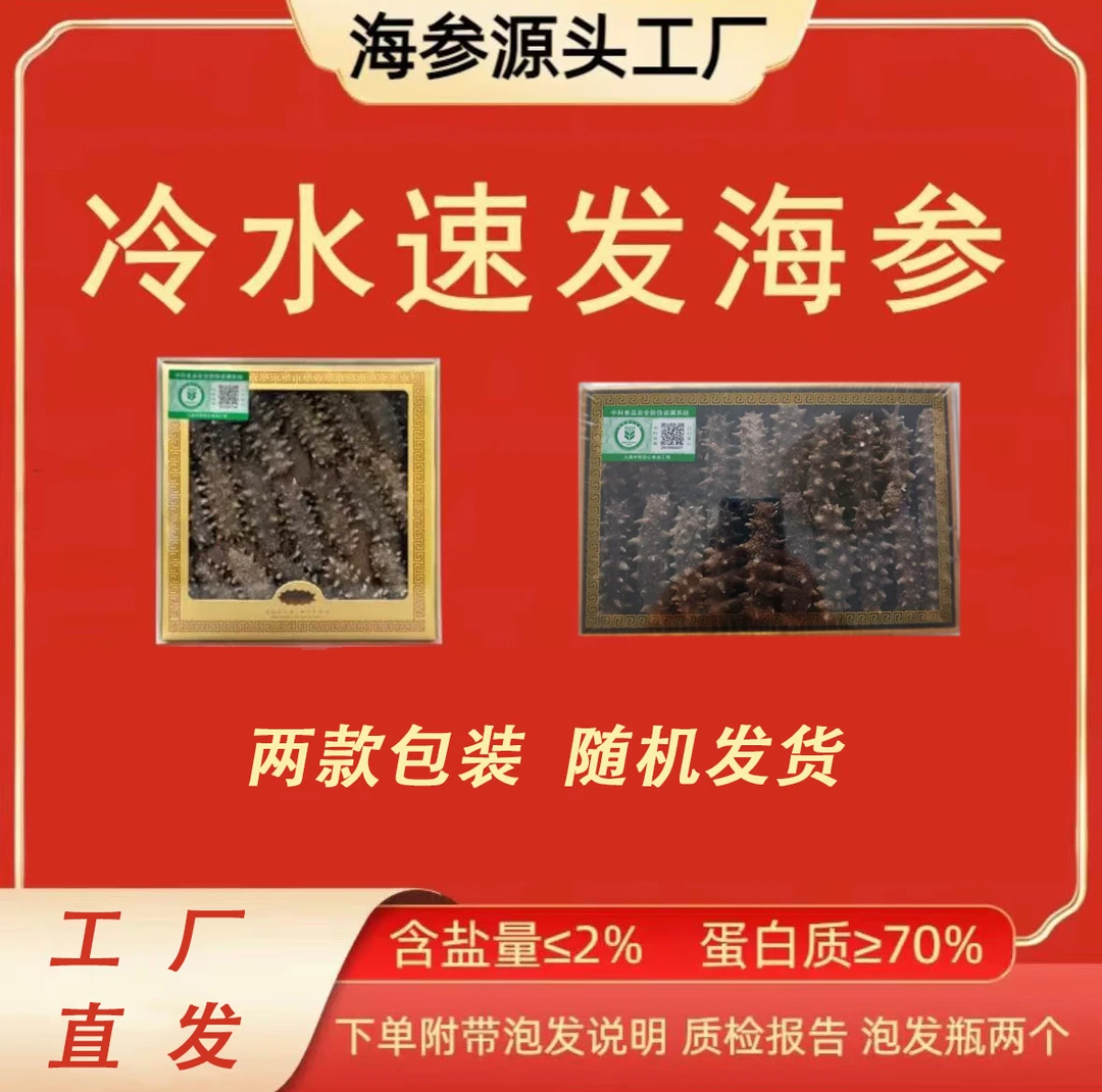 【新人尝鲜】国标冷水速发20小时辽刺参滋补养生纯淡干海参 20头