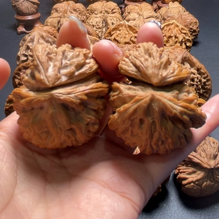 文山金蟾怀抱子核桃哈哈哈哈哈哈哈哈