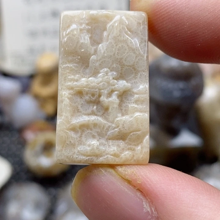 颈饰未镶嵌硅化珊瑚（珊瑚玉）小