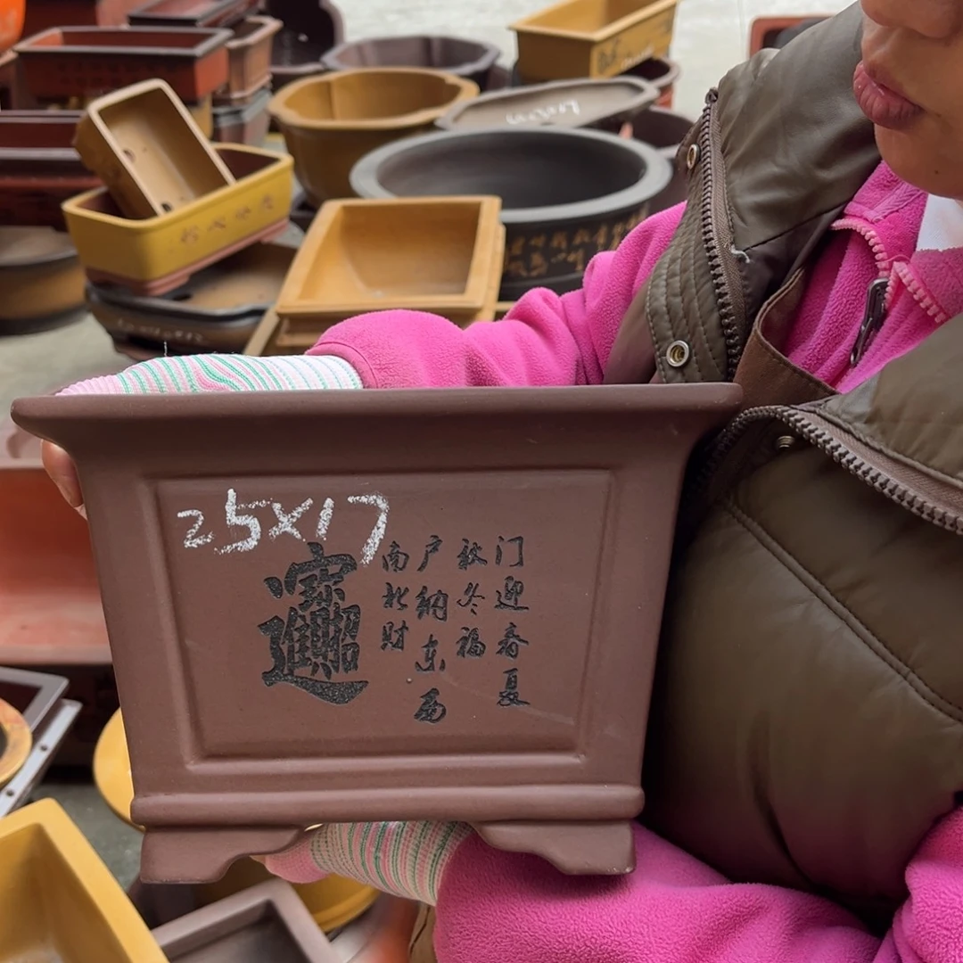 花盆紫砂盆景艺术