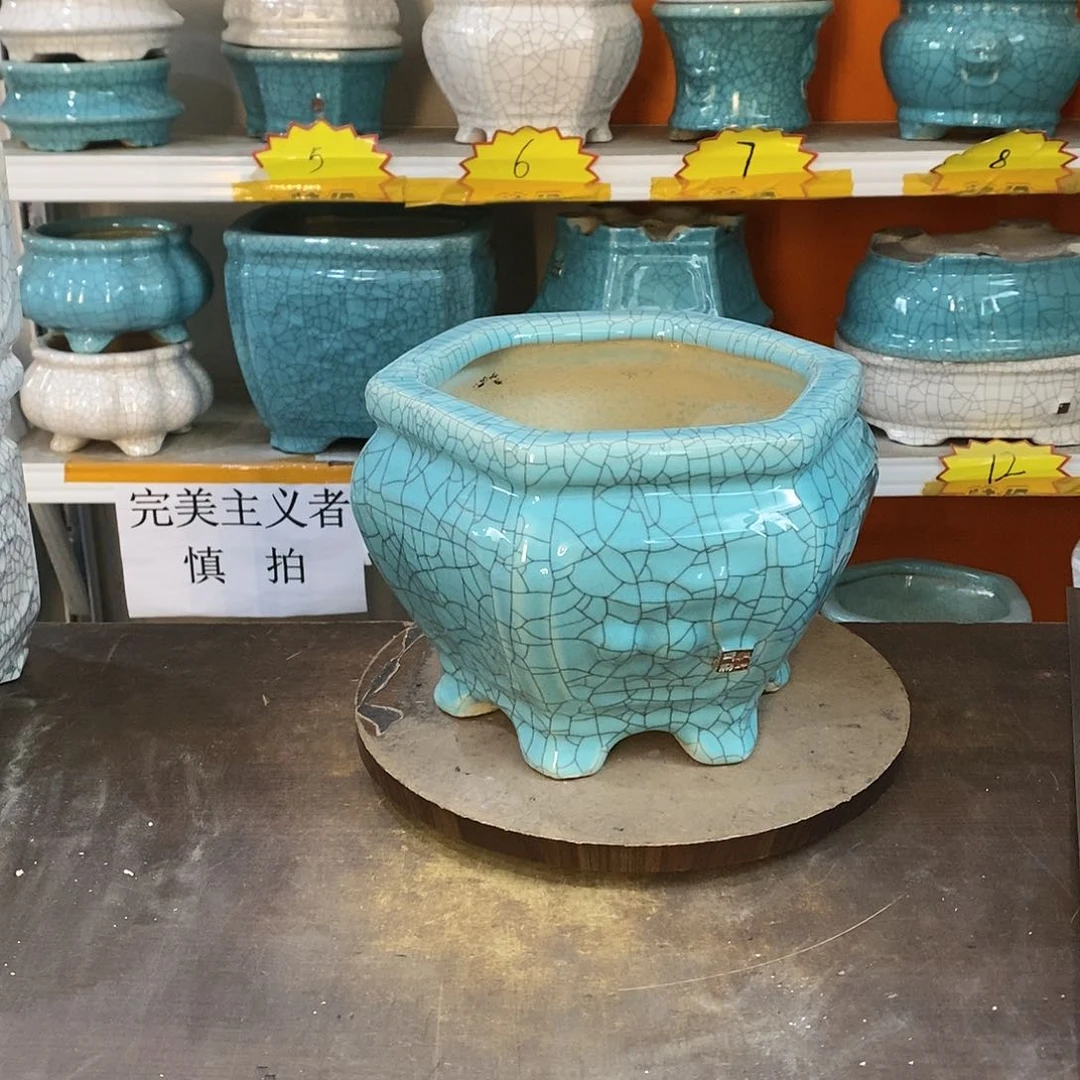 寿****店花盆里的小猫咪