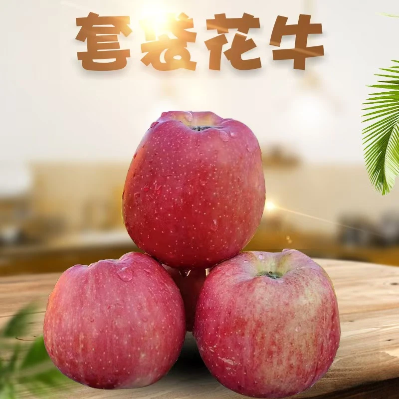 甘肃秦安正宗套袋花牛苹果一果两吃新鲜水果(中果)