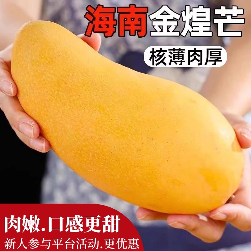 A【新人推荐10斤更划算】金煌芒新鲜芒果水果应季水果批发