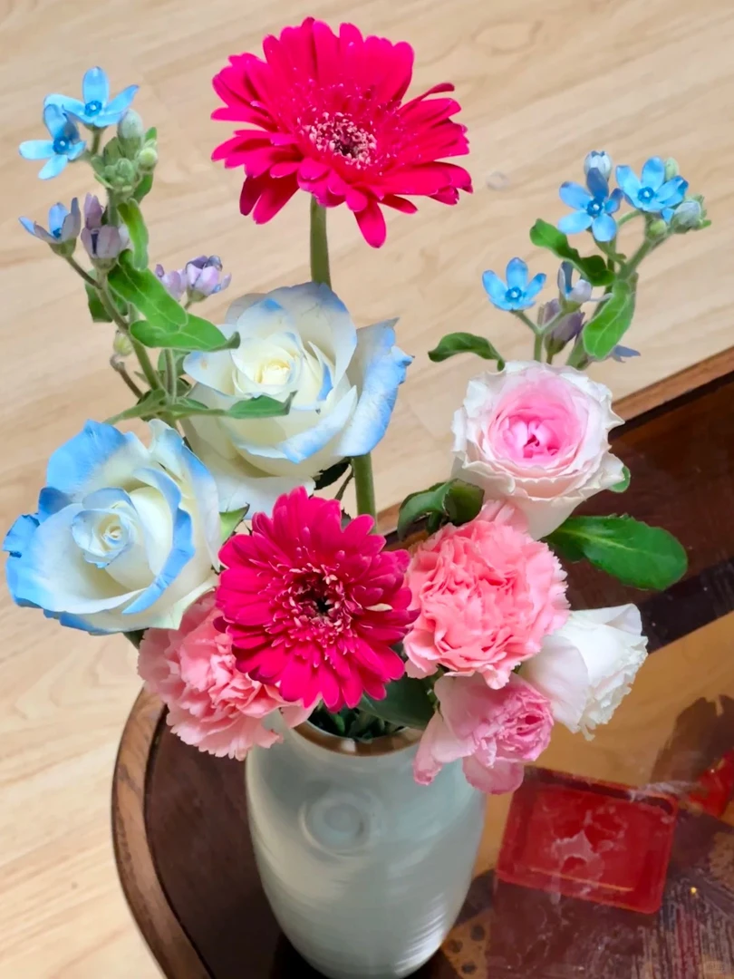 (曼）5支多头黄天霸＋10支普拉芬多＋400g粉皇后  1单包邮