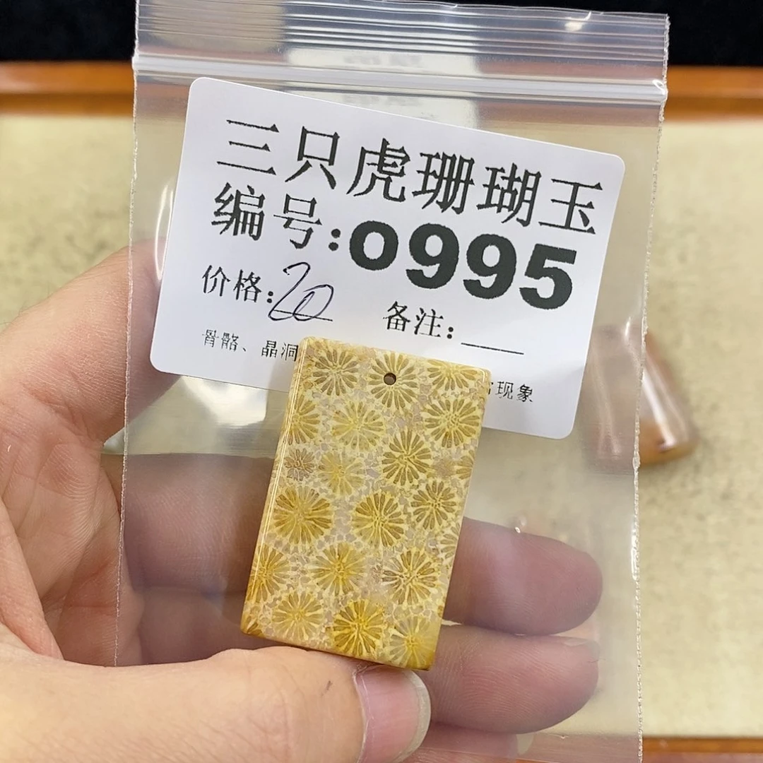 硅化珊瑚（珊瑚玉）1未镶嵌用****4
