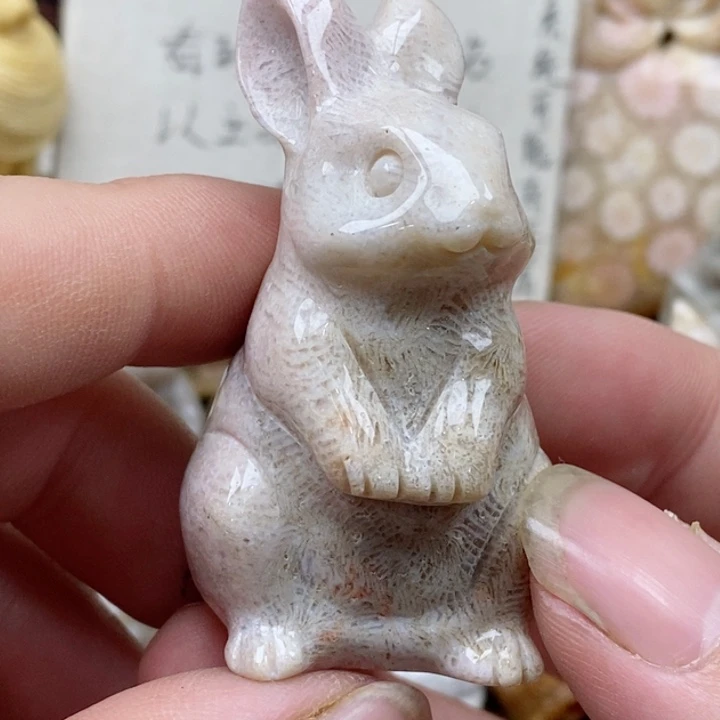 颈饰未镶嵌硅化珊瑚（珊瑚玉）有瑕