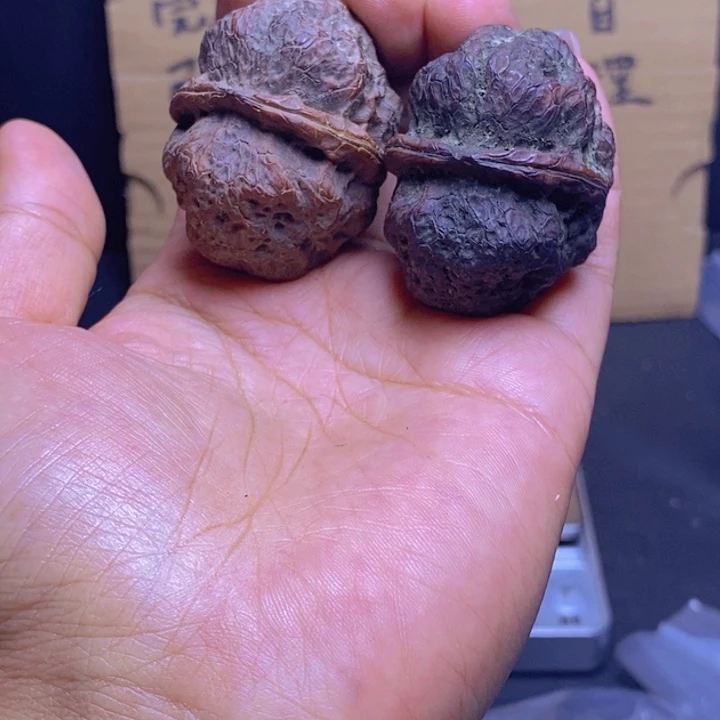 把件文玩核桃70-43mm微磕