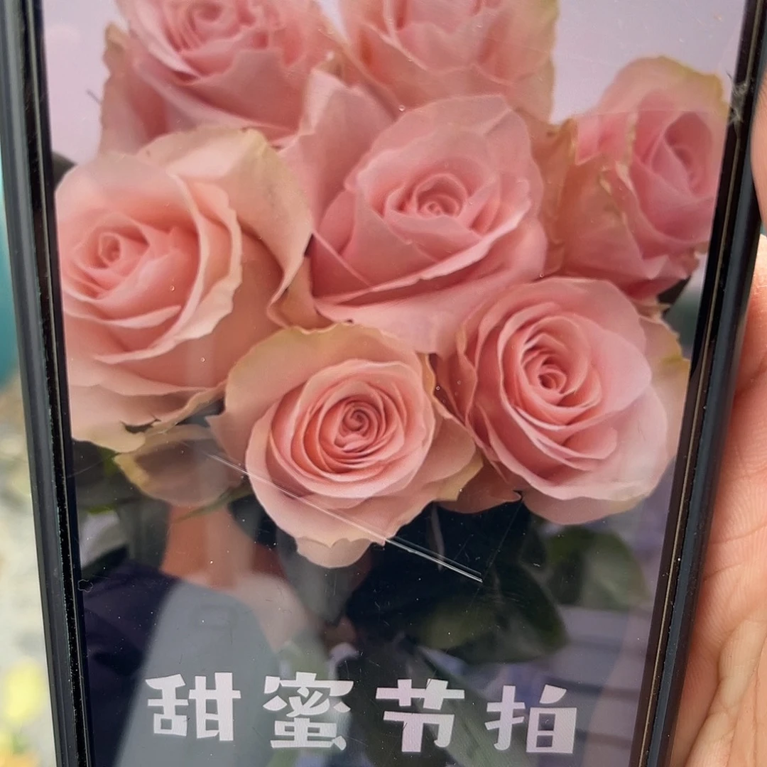 无花朵——甜蜜节拍 大苗