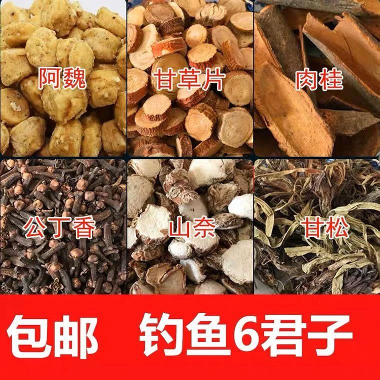 钓鱼中药材钓鱼六君子泡酒主攻鲫鱼鲤鱼草鱼扁鱼大鱼喜欢十三君子