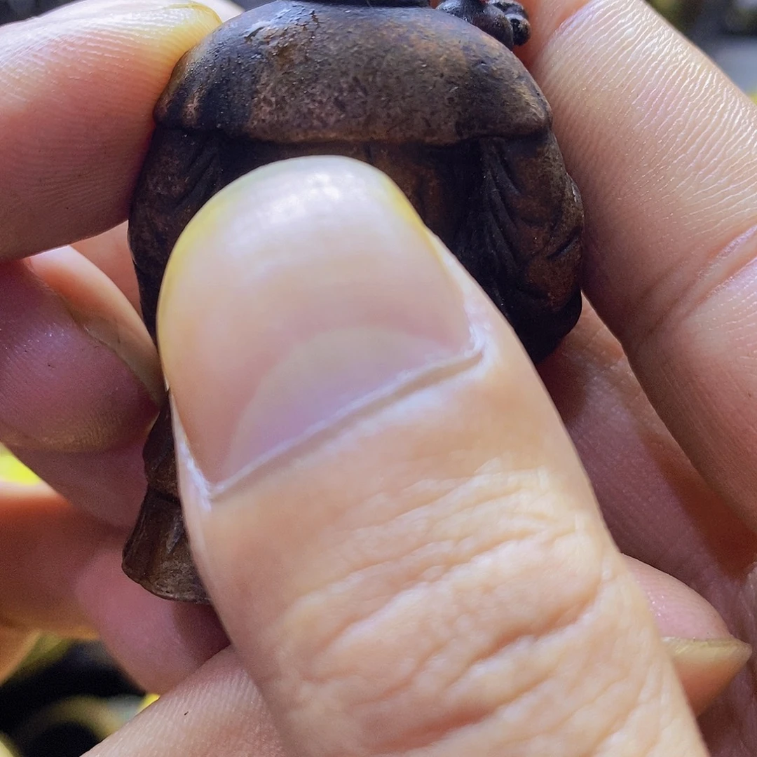 铜铜铜铜铜铜铜铜