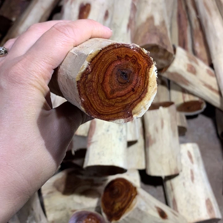 天***乐花梨木类海南黄花梨