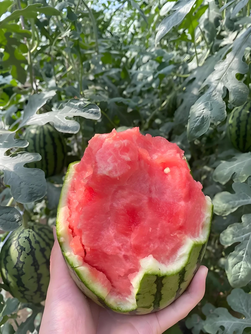 陕西小糖丸手撕西瓜脆甜爆汁