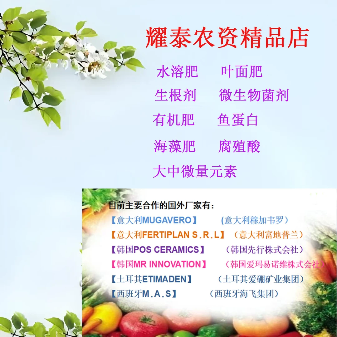 耀泰农业大棚种植作物·叶肥，，白粉虱，田一飞