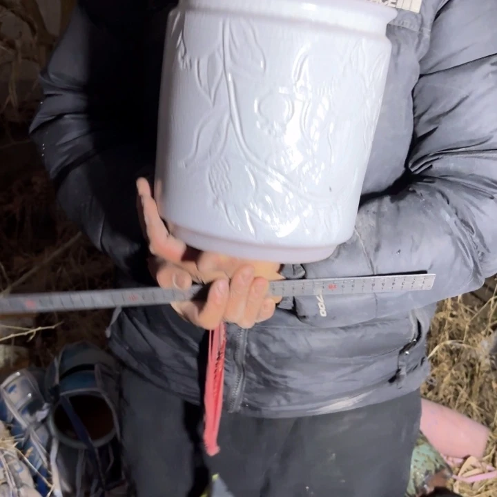 红陶口径 花盆 高度 21 23