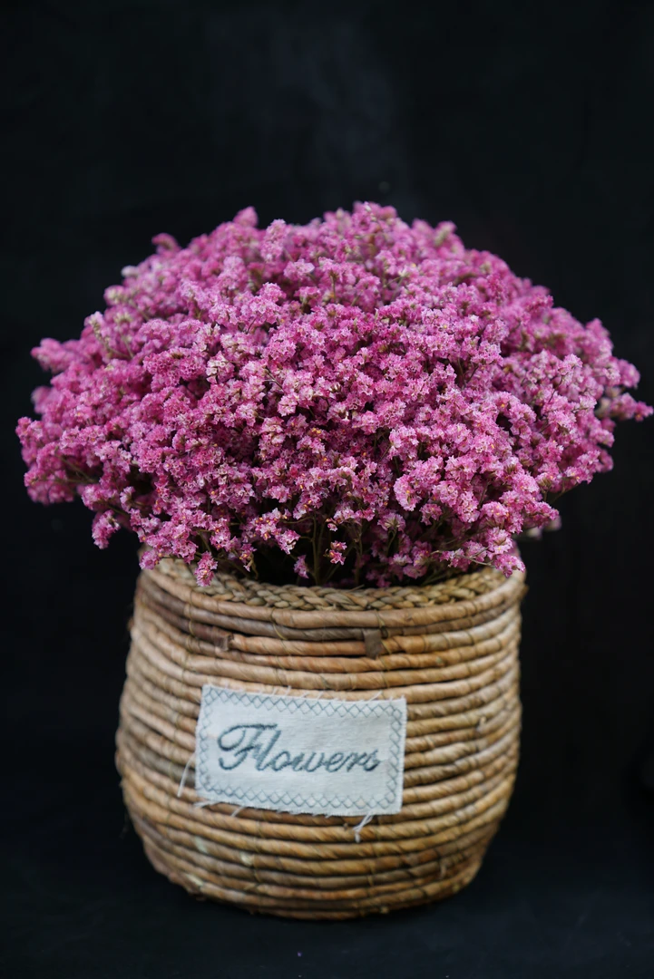 《永生水晶草》真花永生花天然花束鲜花家居摆放