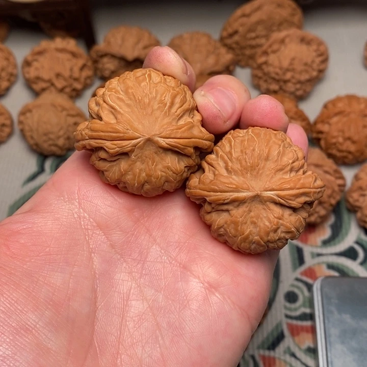 木质核小闷41全品