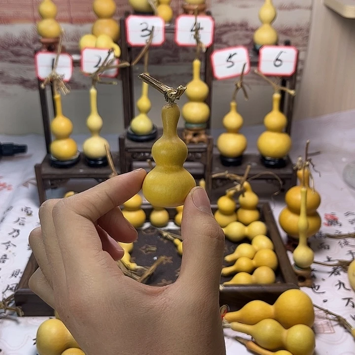 葫芦葫芦葫芦葫芦