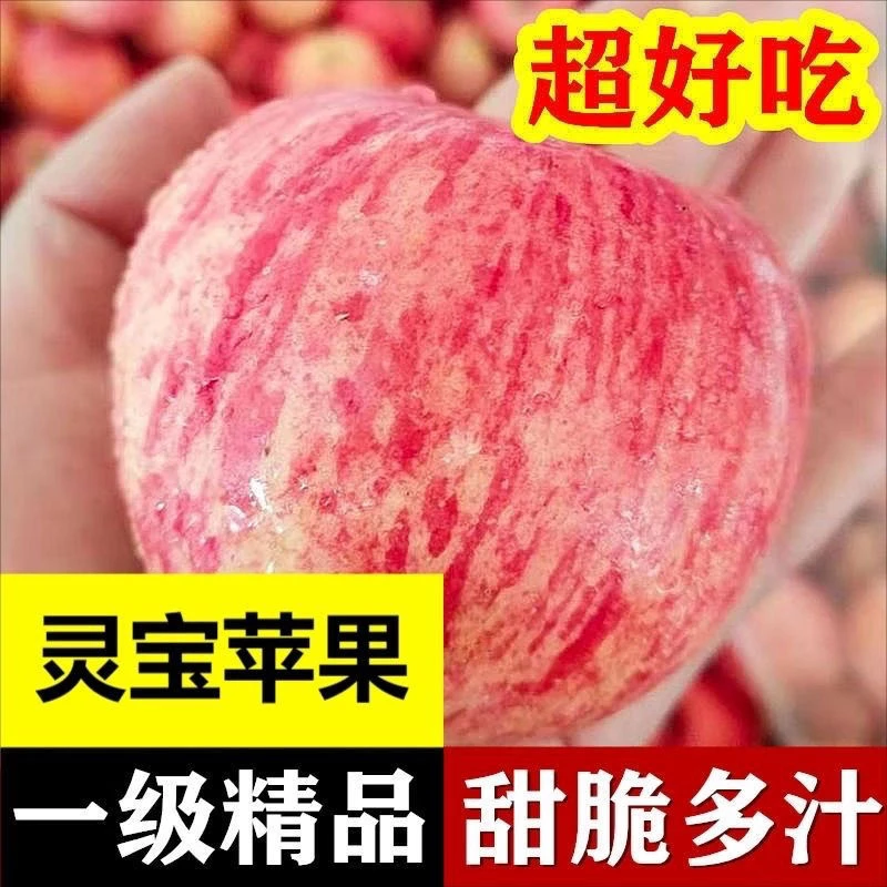灵宝寺河高山苹果当季苹果脆甜多汁秦脆苹果冰糖多汁2025