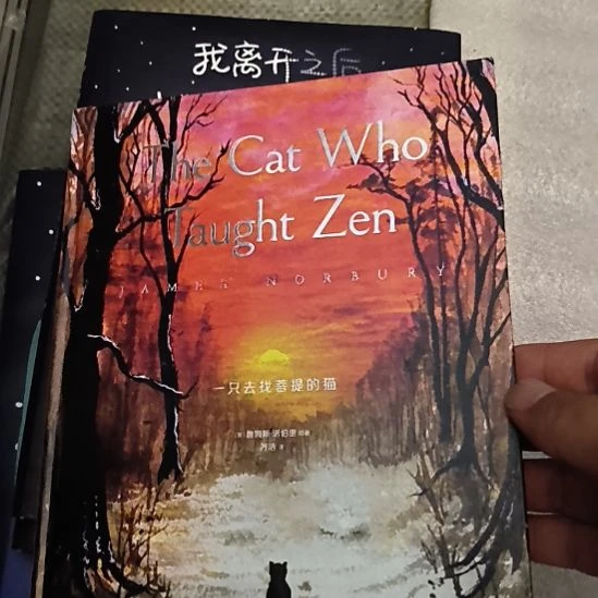 一只去找菩提的猫，库存书