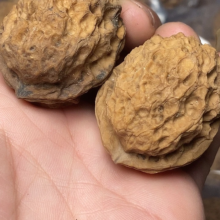 文玩核桃把件志成云铁文玩42