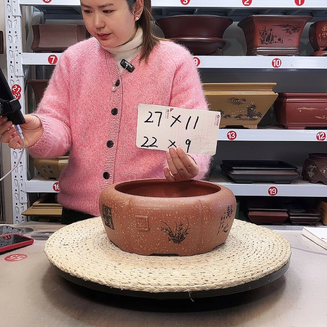 紫砂花盆紫砂花盆里