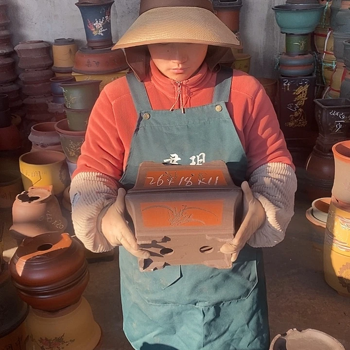 紫砂花盆盆栽花卉苗木种植