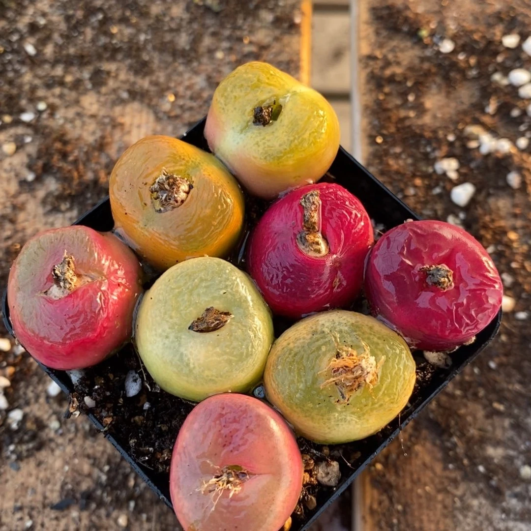 10102一组一组一组