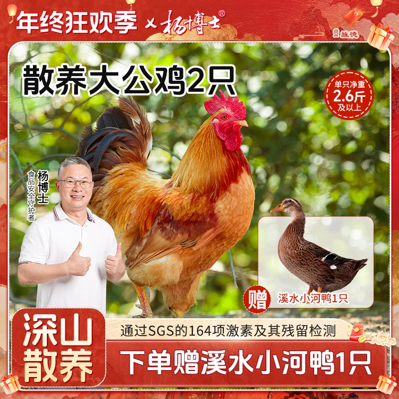 【2只大公鸡送1只小河鸭】食安放心杨博士土鸡散养嫩鲜新鲜现杀