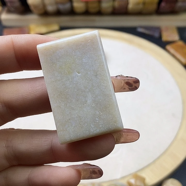 硅化珊瑚（珊瑚玉）未镶嵌颈饰4