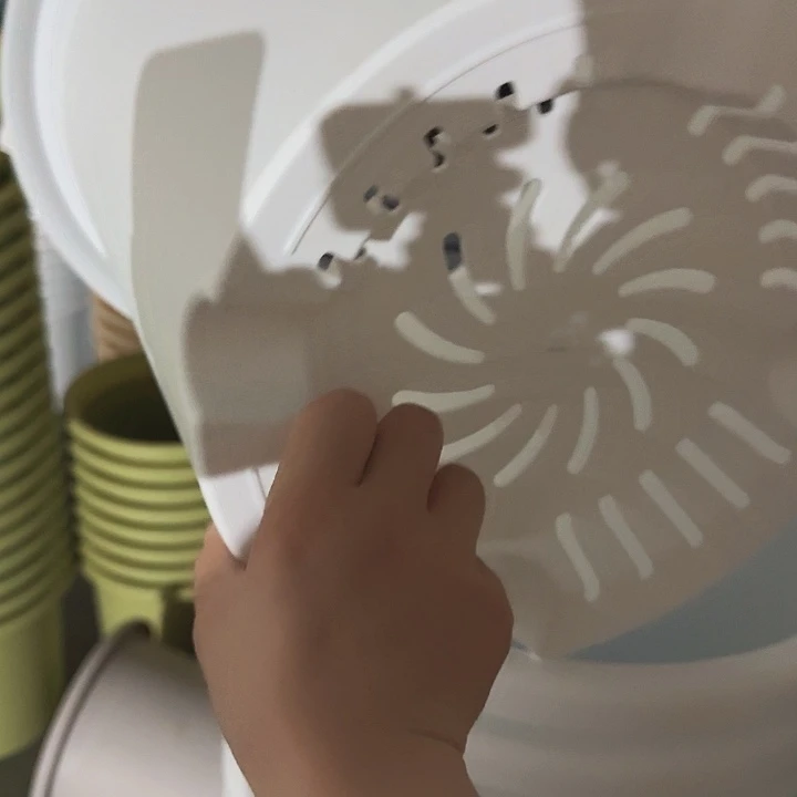 四季7号纯白无托6个特价微瑕