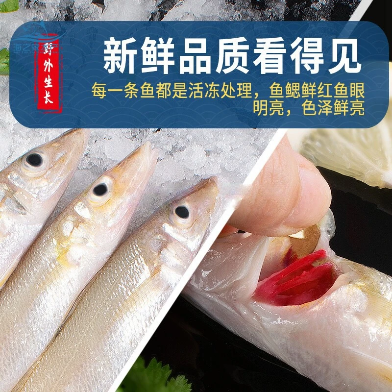 沙尖鱼 沙丁鱼阳江海鲜黄皮沙丁鱼营养鱼肉沙钻鱼（约12条/斤）帮杀