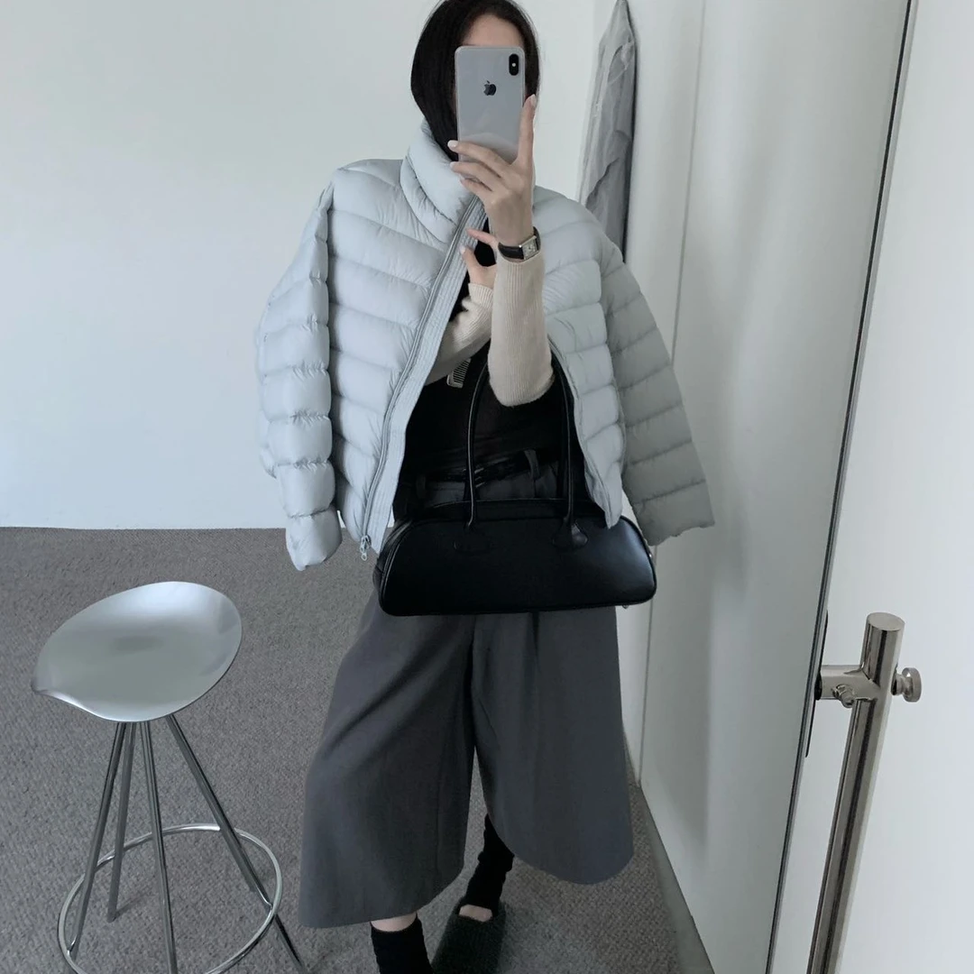 新国标白鸭绒（绒子含量90）可以立领的排骨羽绒服8838