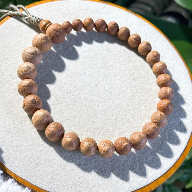 尼泊尔凤眼菩提里一眼佛眼菩提精挑27颗手持搭配16毫米佛眼三通