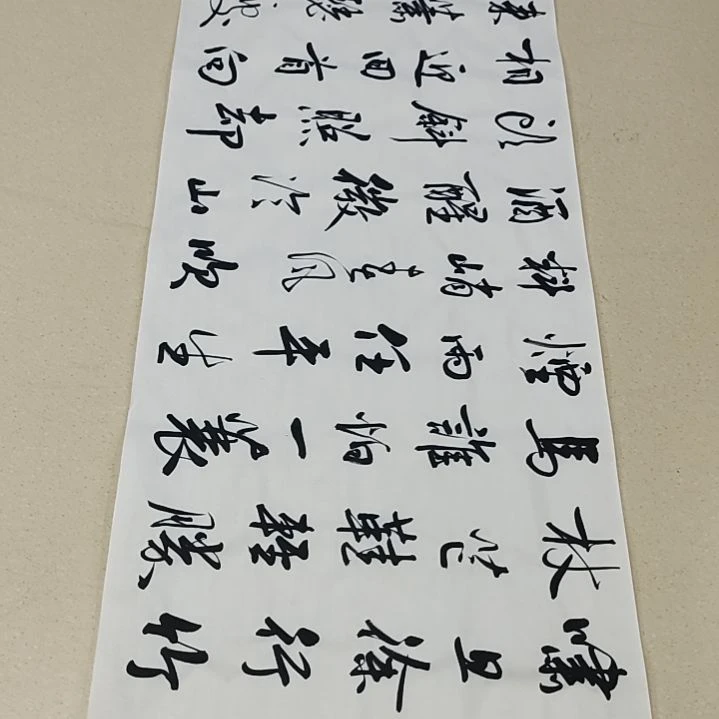 书法李士军老师定风波