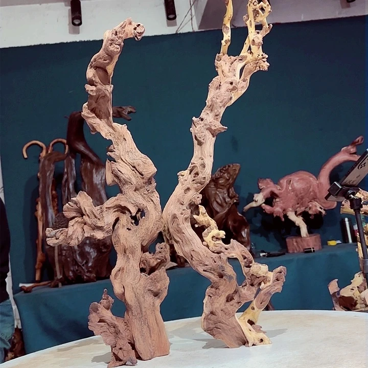 黑果木洪**艺480金丝红木羊蹄甲半成品特价