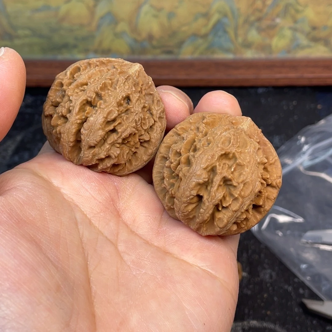 核桃5号链接555555