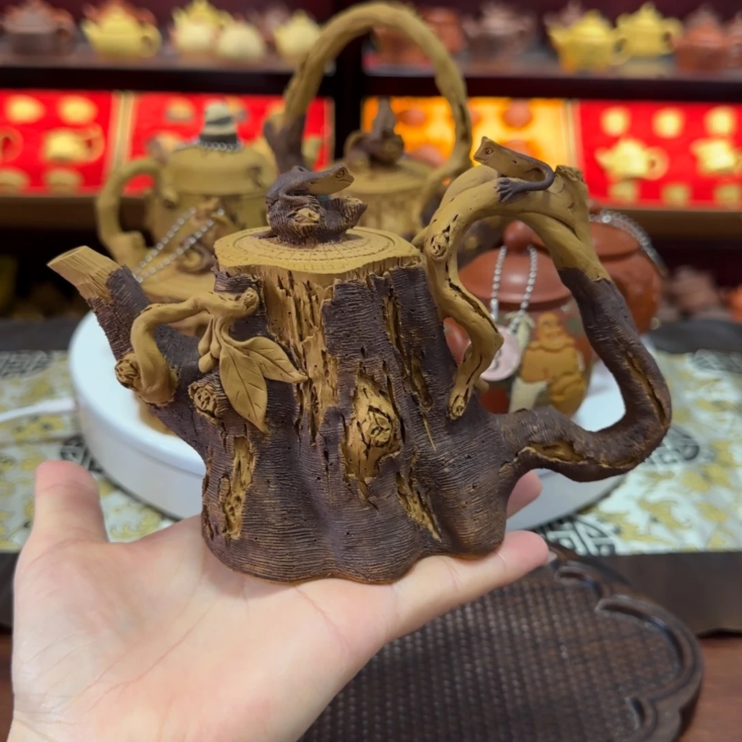 茶壶段泥枯木蜥蜴