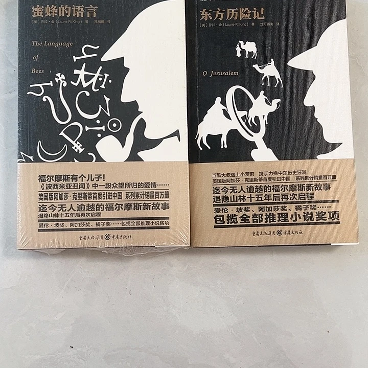 正版书籍 推理小说