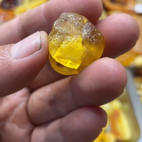 手串植物珀未镶嵌吊坠