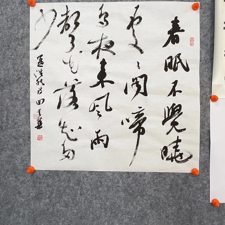 书法回金华老师春晓48×48