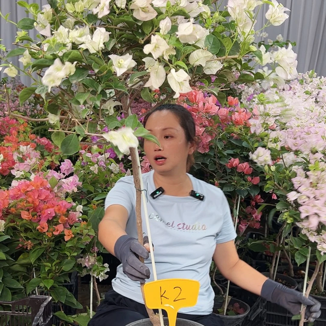 鱼***.完全开放K2丽娜丽娜